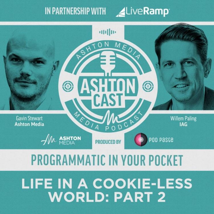 cover art for Programmatic In Your Pocket | Dr. Willem Paling | Part 2