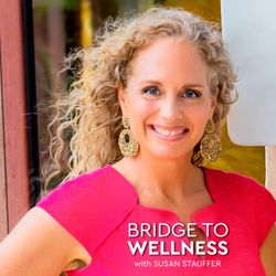 cover art for Bridge To Wellness with Susan Stauffer