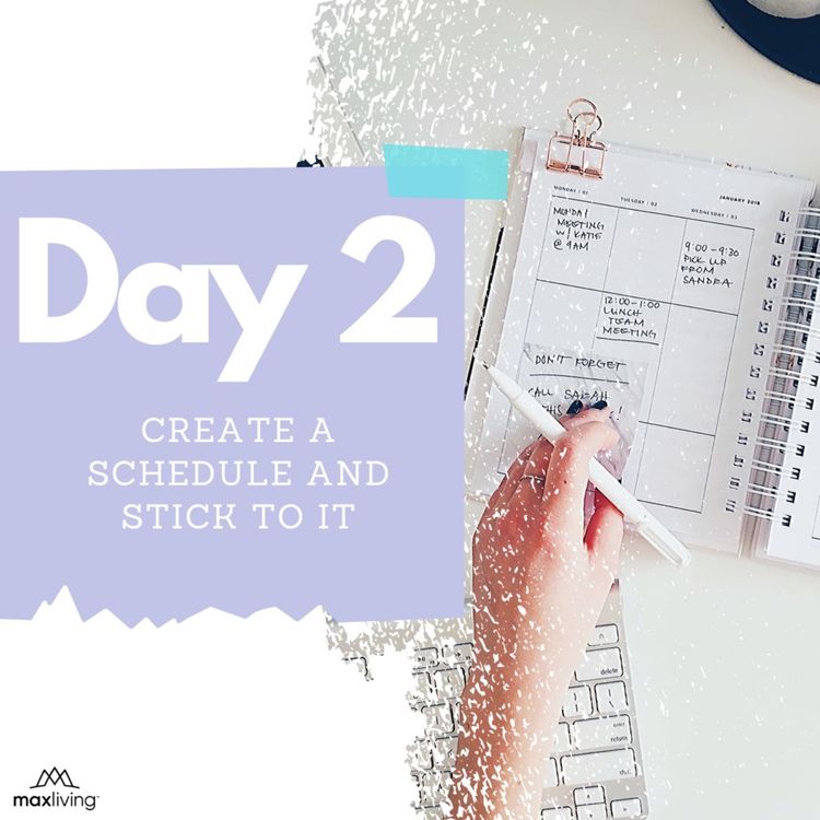 cover art for Max Alive Time Challenge - Day 2