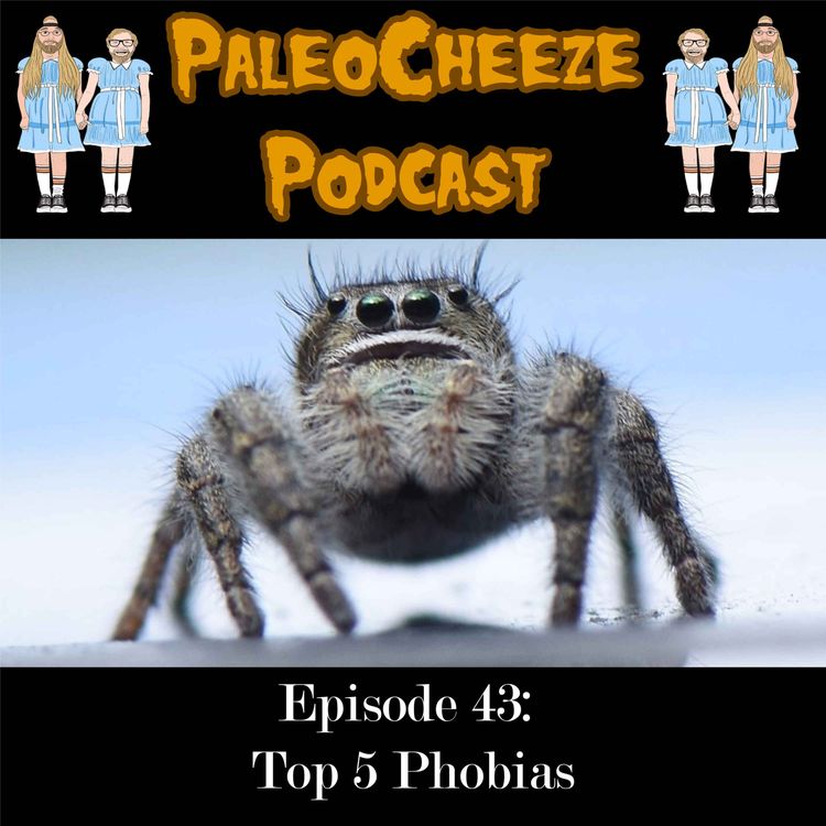 cover art for Episode 43: Top 5 Phobias