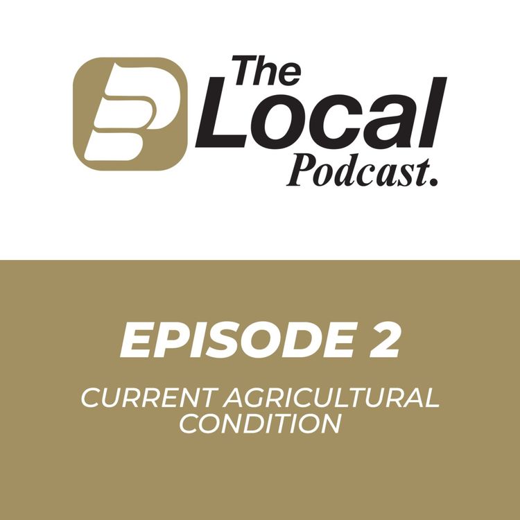 cover art for Current Agricultural Condition