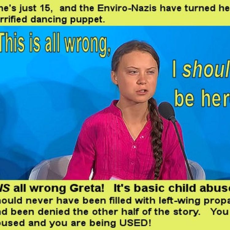 cover art for NutriMedical Report Show Friday Oct 18th 2019 – Hour Two – Harley Schlanger, LaRouchePAC.com,