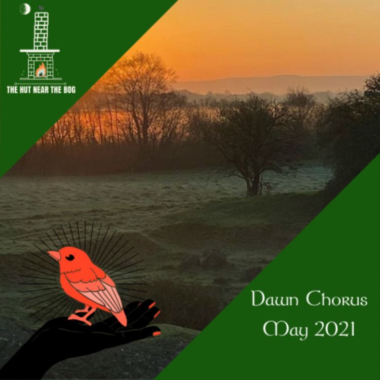 cover art for Dawn Chorus - 02 May 2021