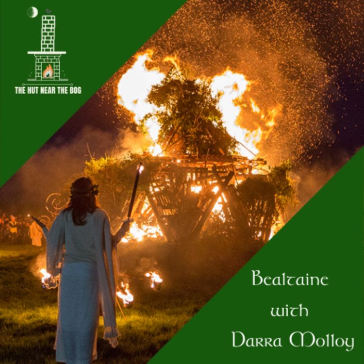 cover art for Bealtaine with Dara Molloy  