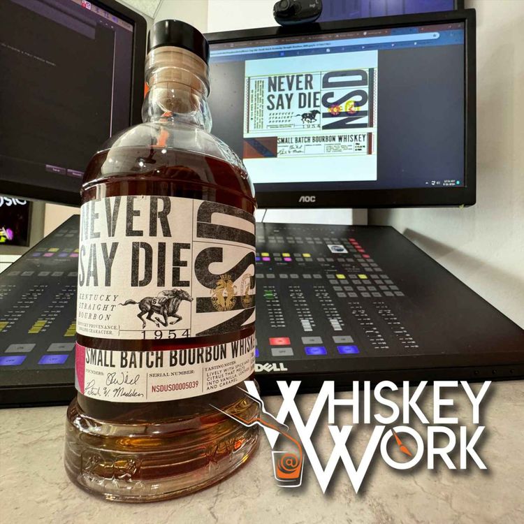 cover art for Never Say Die