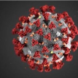 cover art for O que você precisa saber sobre o coronavirus