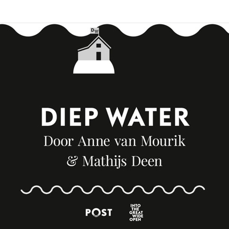 cover art for Diep Water: Afl 3 Het Water Komt