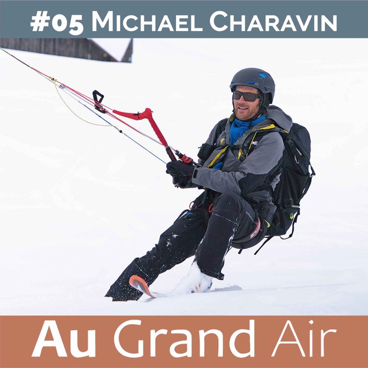 cover art for #05 - Michael Charavin: Des questions polaires