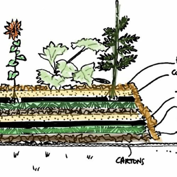 cover art for 013 PERMACULTURE: COMMENT CRÉER UN SOL URBAIN ?