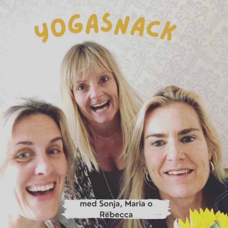 cover art for Snack om en yogisk livsstil