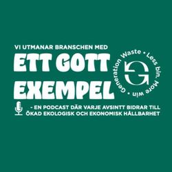 cover art for Ett gott exempel 