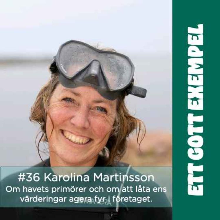 cover art for Karolina Martinsson om havets primörer och om att låta ens värderingar agera fyr i företaget.