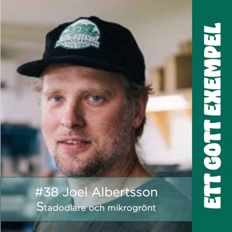 cover art for Joel Albertsson grundare av Odlingsbolaget Svalan