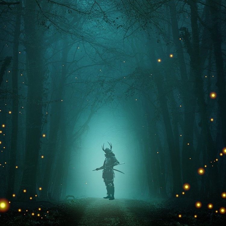 cover art for LES GUERRIERS DE LUMIÈRE