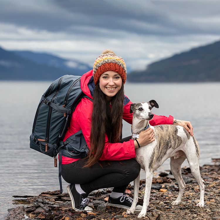 cover art for Sarah Lyndsay - How to Become an Instagram Sensation