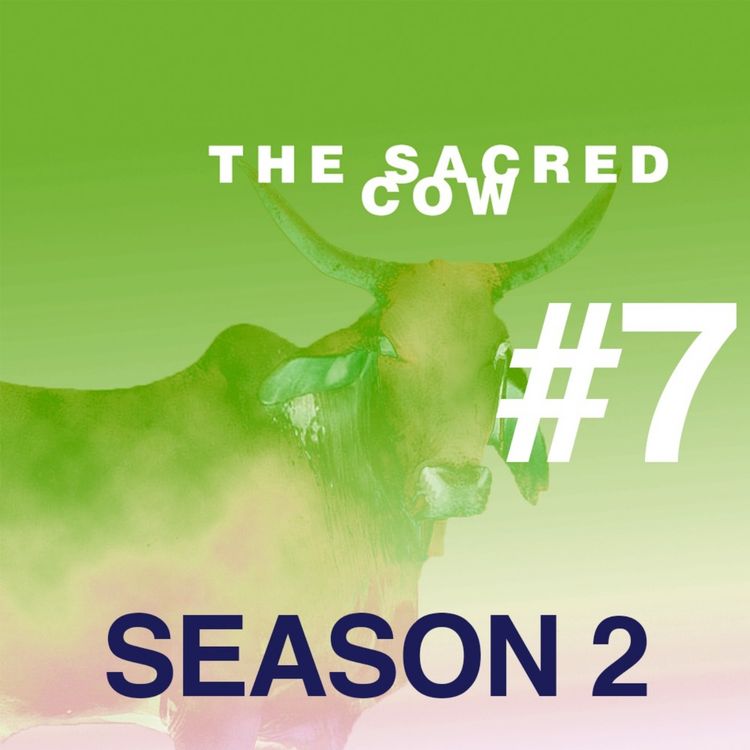 cover art for THE SACRED COW: Season 2 - Ep.7