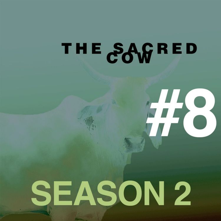 cover art for THE SACRED COW: Season 2 - Ep.8