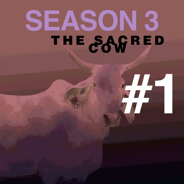 cover art for THE SACRED COW: Season 3 - Ep.1