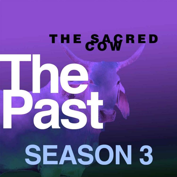 cover art for THE SACRED COW: Season 3 - The Past