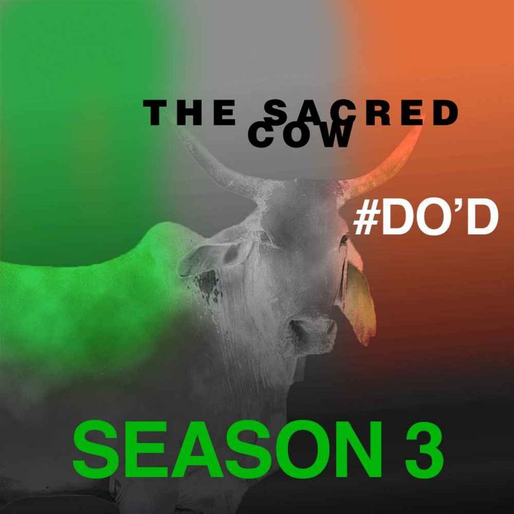 cover art for THE SACRED COW: Season 3 - Daniel O'Donnell