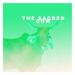 cover art for The Sacred Cow