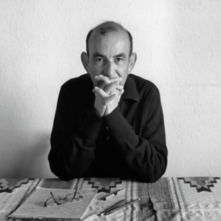 cover art for Steven McNicoll reads Raja Shehadeh's Letter to the Lycuem