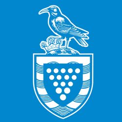 cover art for Cornwall Council