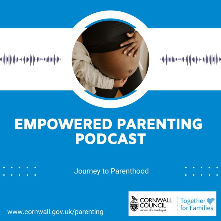 cover art for Empowered Parenting Podcast - Journey to Parenthood: Maternity services