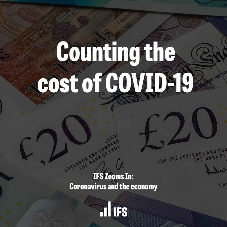 cover art for Counting the cost of COVID-19