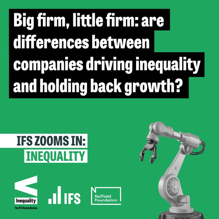 cover art for Big firm, little firm: are differences between companies driving inequality and holding back growth?
