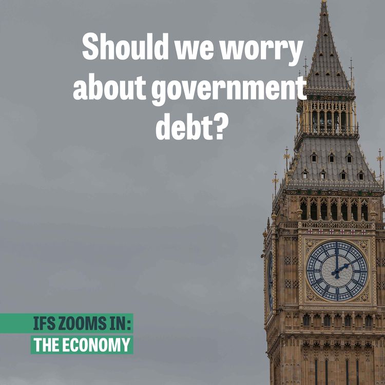 cover art for Should we worry about government debt?