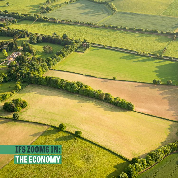 cover art for Land value tax: the perfect tax?