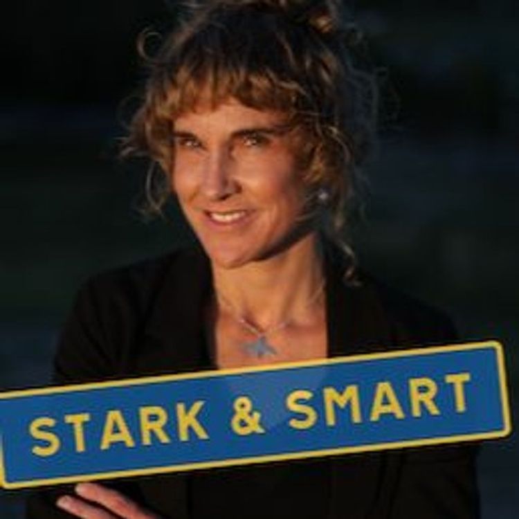 cover art for Stark & Smart Summer Camp