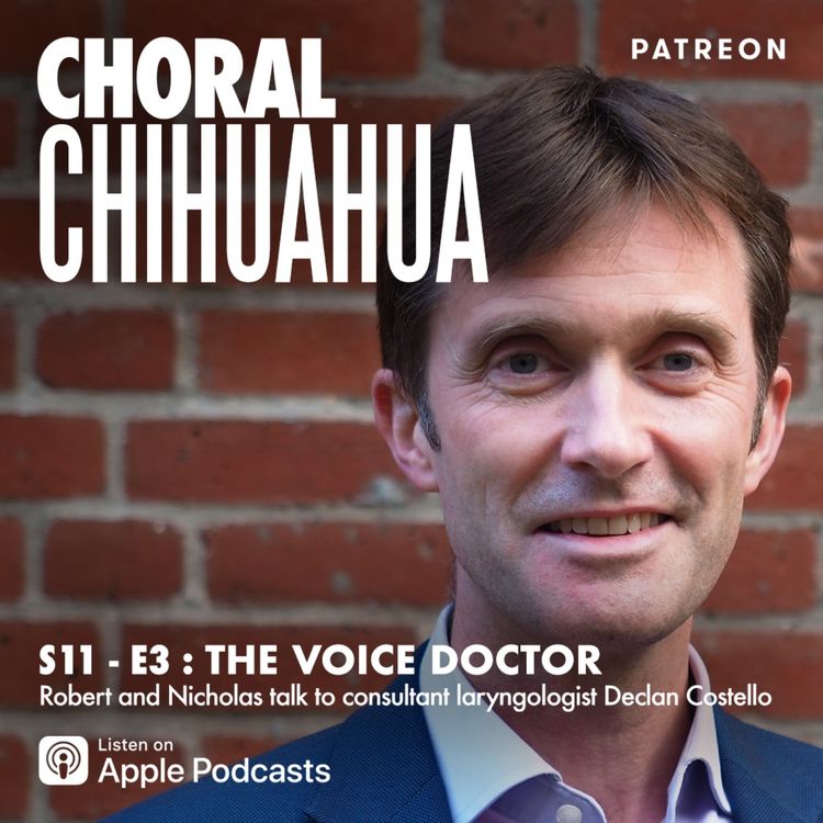 cover art for The Voice Doctor