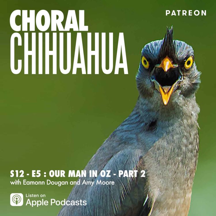 cover art for Our Man in Oz - Part 2