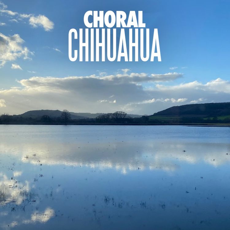 cover art for Clare Stevens - Choral Music journalist