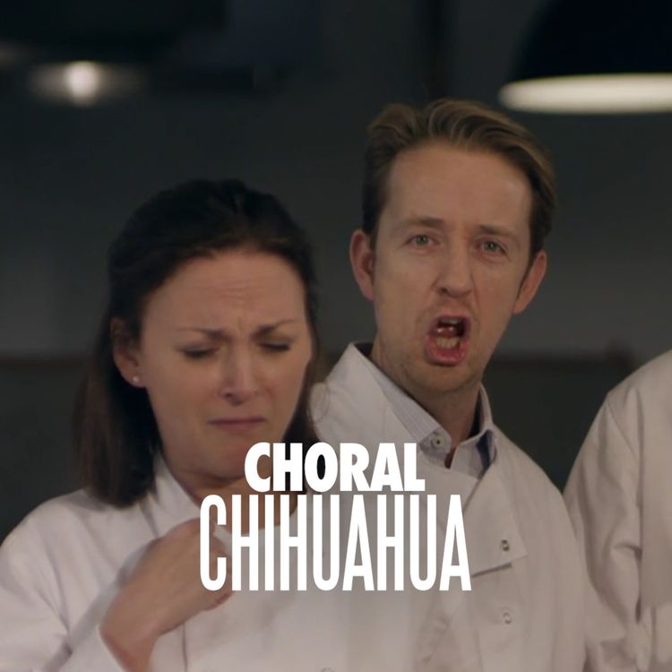 cover art for Singers v Conductors