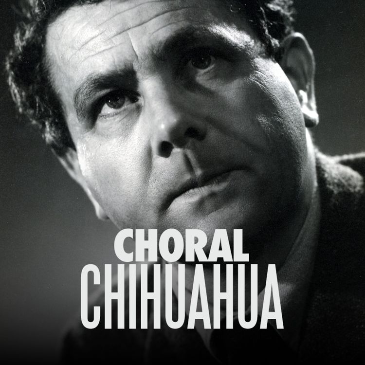 cover art for The Finzi episode