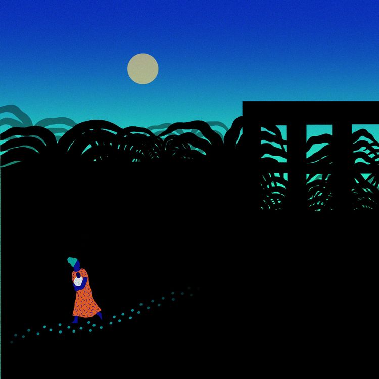 cover art for #10 Rencontrer Ben Laden