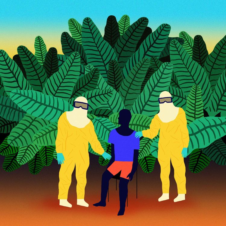 cover art for #22 Des applaudissements pour avoir guéri d’Ebola