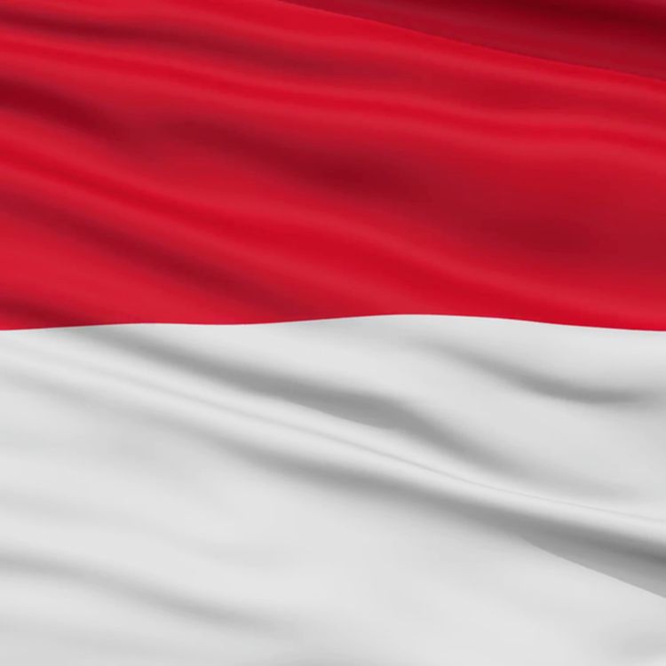 cover art for Panduan akses situs judi online Indonesia