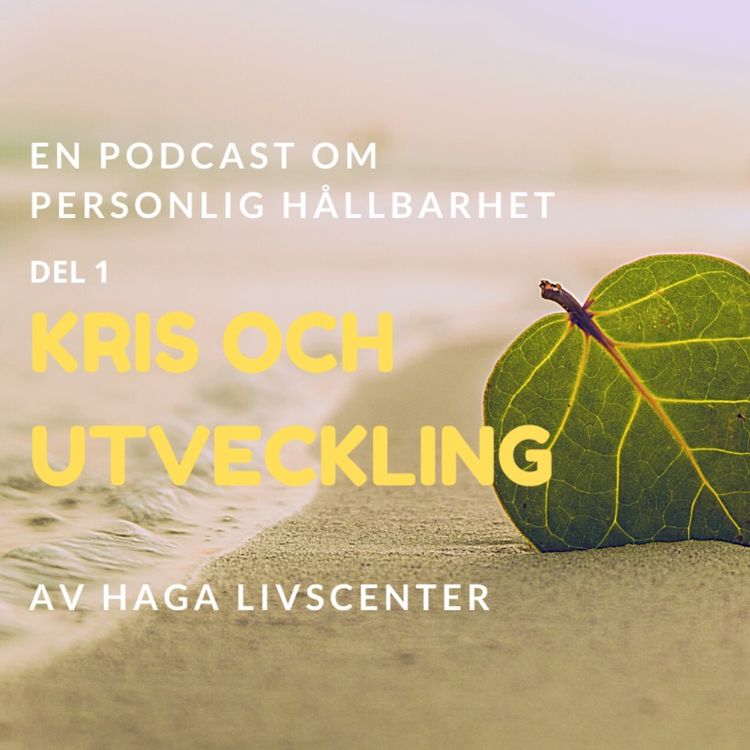 cover art for 1. Kris och Utveckling