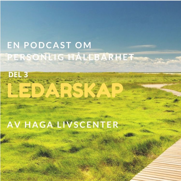 cover art for 3. Ledarskap