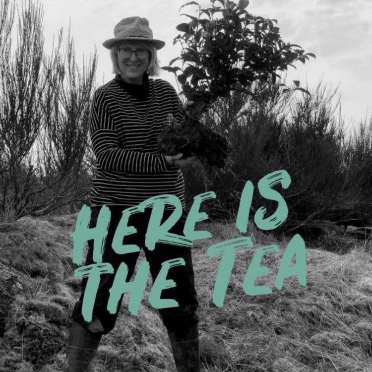 cover art for Growing Tea the Scottish way with Monica Griesbaum