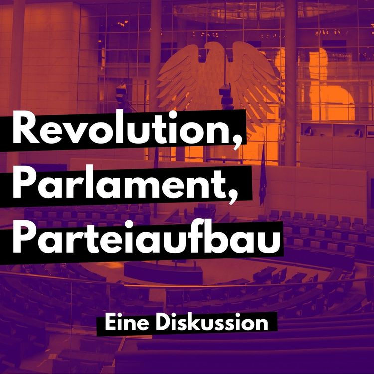 cover art for Revolution, Parlament, Parteiaufbau - Eine Diskussion mit Angela Banckert (LINKE) und Paul (KA)