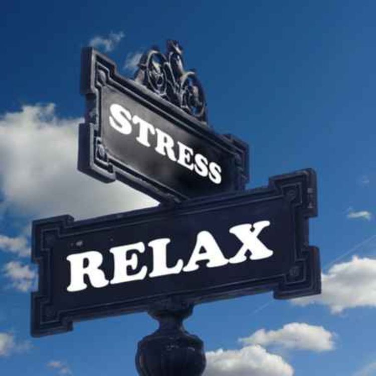 cover art for #10 Programme anti-stress_Version 2024