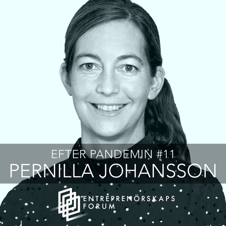 cover art for Pernilla Johansson: Konsumtion under och efter krisen