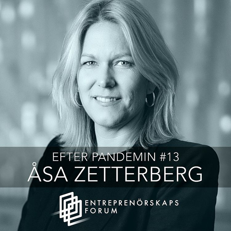 cover art for Åsa Zetterberg: Den kritiska digitala infrastrukturen