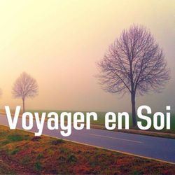 cover art for Voyager en Soi 