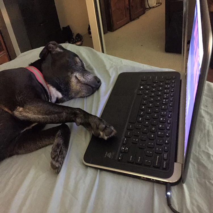 cover art for Don't go the Raw Chicken! Guest HG Nelson